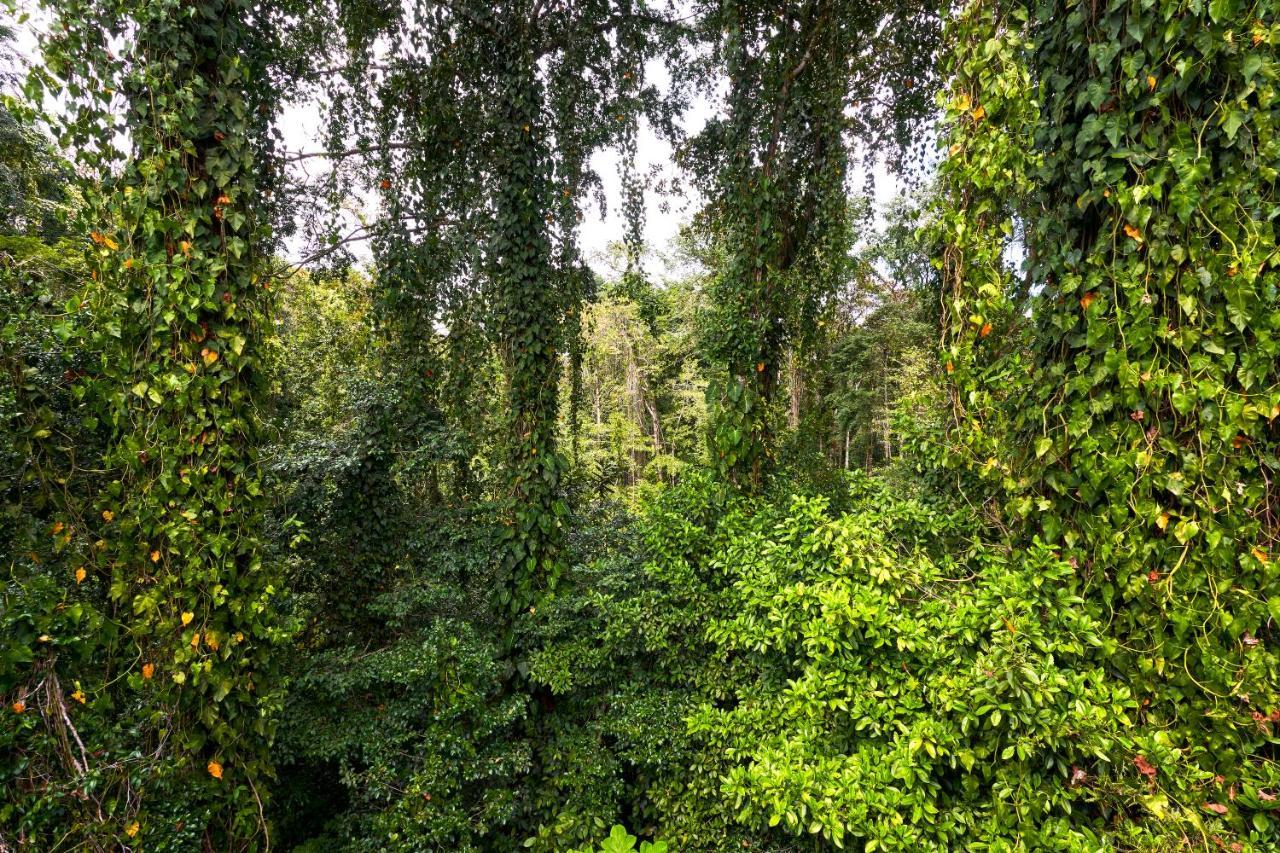 Casa Cayuco Eco-Adventure Lodge Бокас дел Торо Екстериор снимка