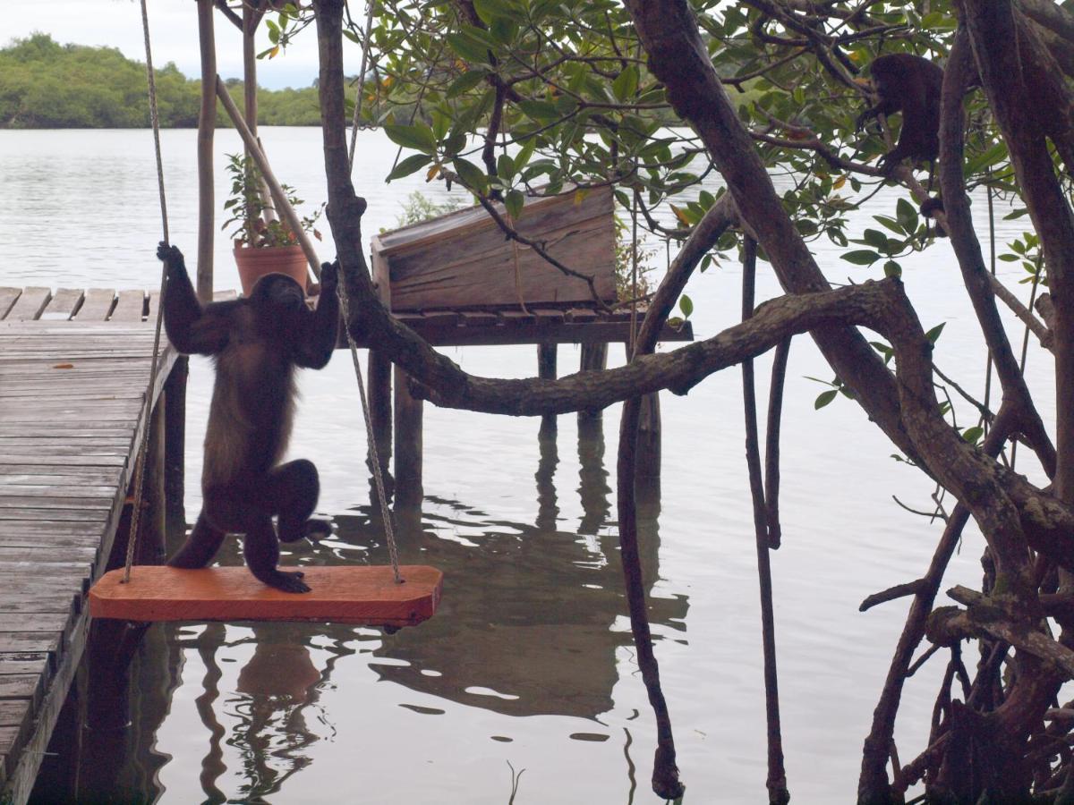 Casa Cayuco Eco-Adventure Lodge Бокас дел Торо Екстериор снимка